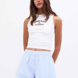 Blue striped boxer shorts pastel blue